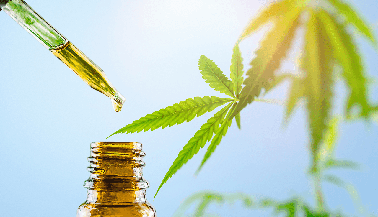 Cannabis Extrakt und Cannabis Blätter